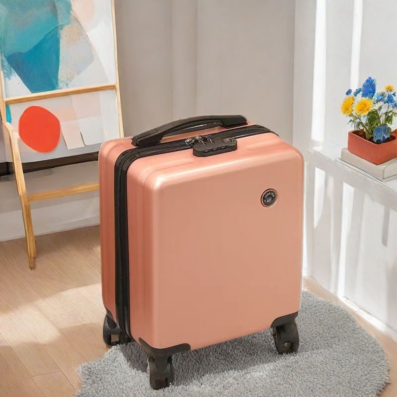 D10173 Small and convenient suitcase